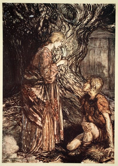 Accetta da me questa bevanda curativa e mielata di idromele, 1910 da Arthur Rackham