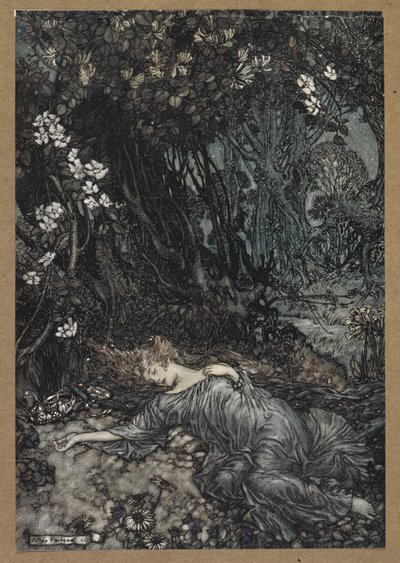 Titania addormentata. Una scena da 