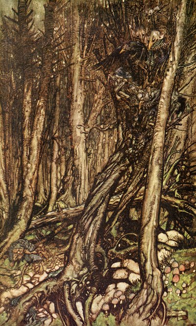 Undine di Friedrich de la Motte Fouqué da Arthur Rackham
