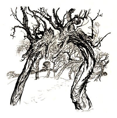 Alberi sussurranti, Da A Dish of Apples, 1917 da Arthur Rackham