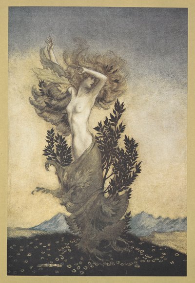 ... come Dafne, legata alle radici, che fuggì Apollo da Arthur Rackham