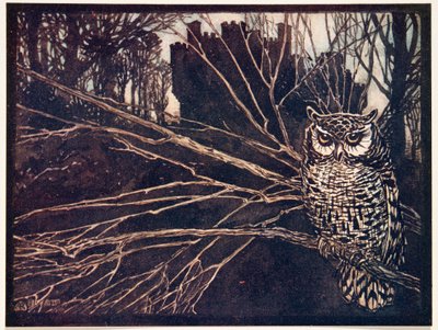 o un gufo urlante, da Le fiabe dei fratelli Grimm, pub. 1909 da Arthur Rackham