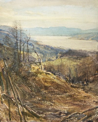 Coniston da vicino Tarn Hows da Arthur Reginald Smith