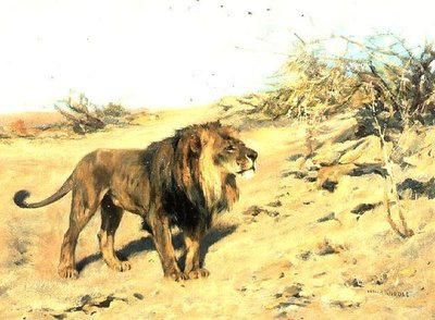 Un leone tra i cespugli da Arthur Wardle