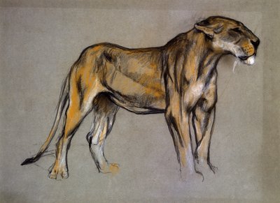 Una leonessa, c.1900 da Arthur Wardle