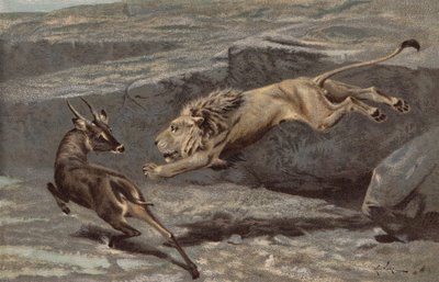 Un Attacco Notturno da Arthur Wardle