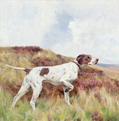 Un puntatore da Arthur Wardle