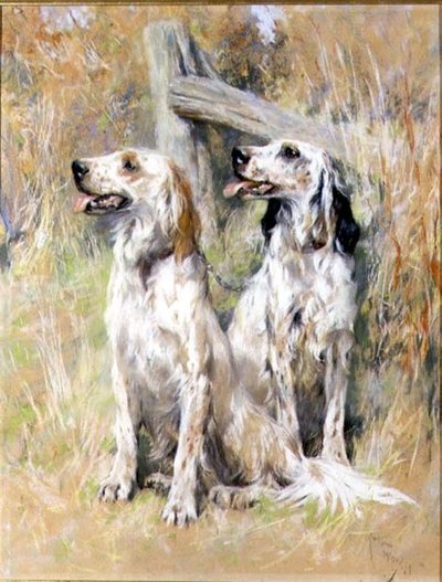 Setter Inglesi vicino a uno Stile da Arthur Wardle