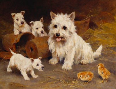 Amico o nemico da Arthur Wardle