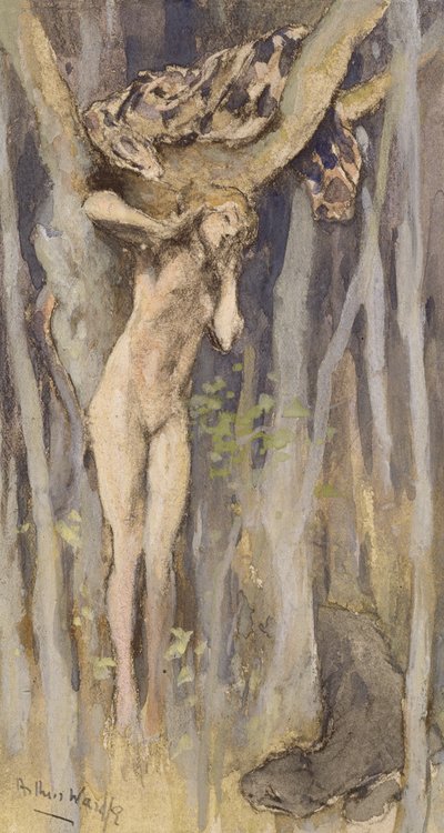 Amadriade - Spirito di un albero, c.1890 da Arthur Wardle