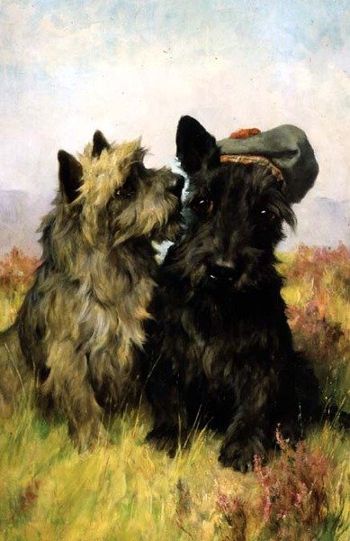 Al pascolo da Arthur Wardle