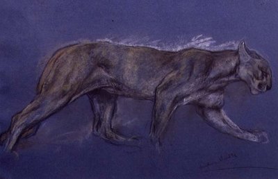 Puma da Arthur Wardle