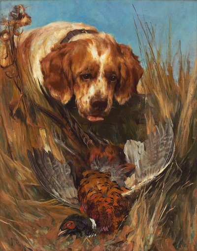 Recuperato da Arthur Wardle