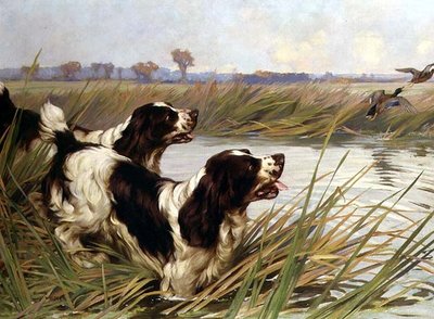 Due Springer che inseguono anatre mallard da Arthur Wardle