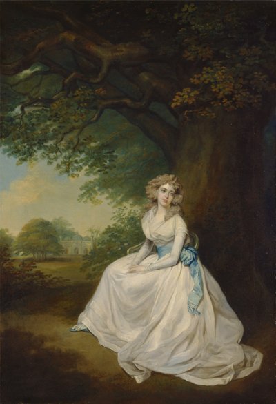 Lady Chambers da Arthur William Devis