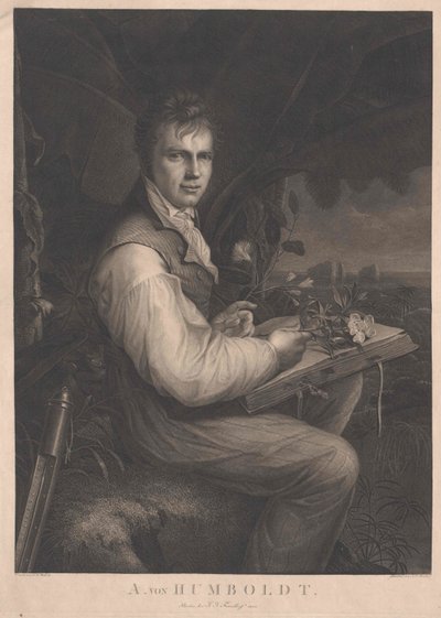 Alexander barone von Humboldt da Artist Unknown