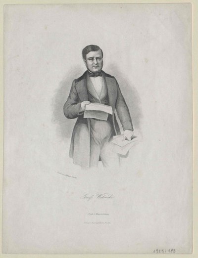 Alexandre Comte Walewski da Artist Unknown