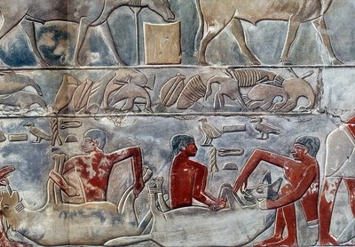 Arte egizia: gavage di un iene. Il collegio è simile alla mastaba di Mereruka. da Artist Unknown