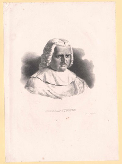 Bernard de Jussieu da Artist Unknown