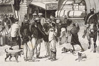 Inghilterra (XIX secolo). Colonizzazione (1880). La vita dei cercatori d