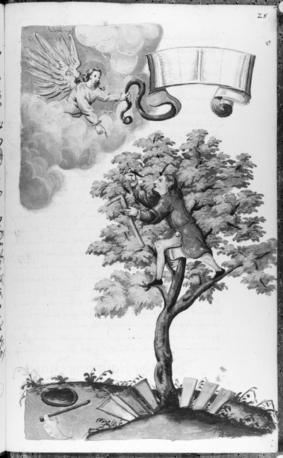 Folio 28 codice 11134 da Artist Unknown