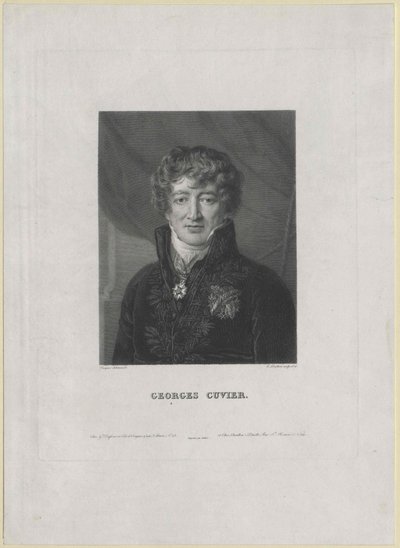 Georg Cuvier (stampa) da Artist Unknown
