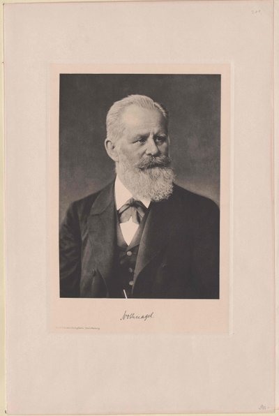 Hermann Nothnagel da Artist Unknown