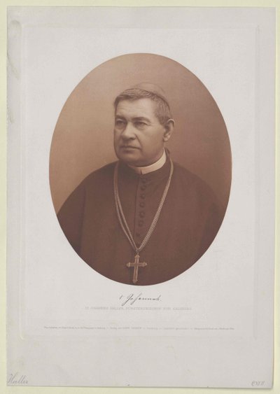 Johannes Haller (stampa) da Artist Unknown
