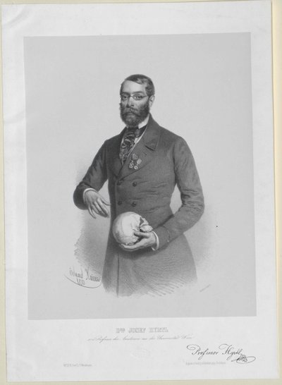 Joseph Hyrtl da Artist Unknown
