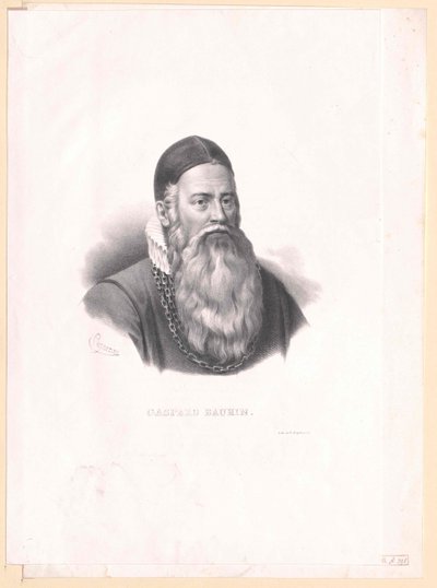 Kaspar Bauhin da Artist Unknown