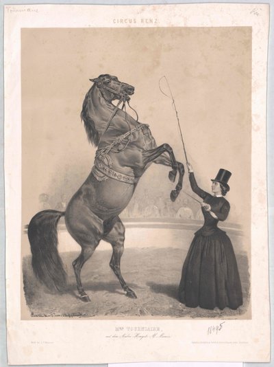 Vissuto intorno al 1860 Tourniaire da Artist Unknown