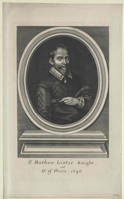 Elenco di Matteo (stampare) da Artist Unknown