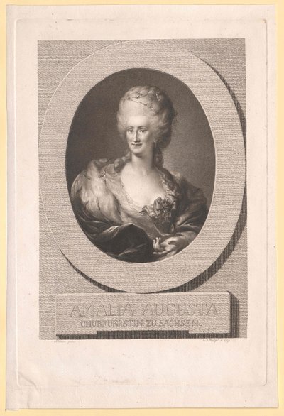 Principessa di Pfalz-Zweibruecken-Birkenfeld Amalie Auguste da Artist Unknown