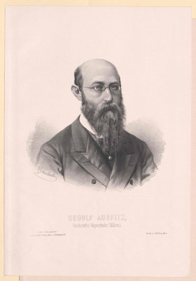 Rudolf Auspitz da Artist Unknown