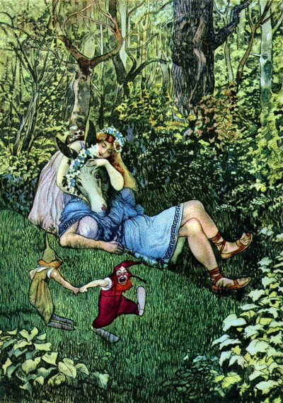 Il sogno di una notte di mezza estate da Artus Scheiner