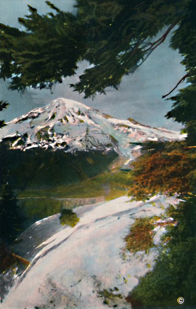 Monte Tacoma da Eagle Peak, Washington, c1916 da Asahel Curtis