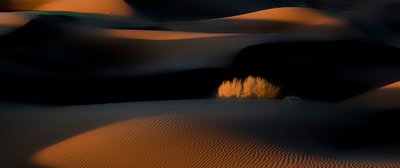  da Asef Azimaie