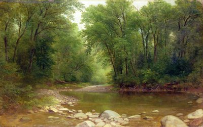 Un ruscello dei Catskill, 1867 da Asher Brown Durand