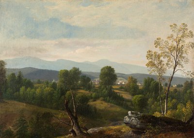 Una vista sulla valle da Asher Brown Durand