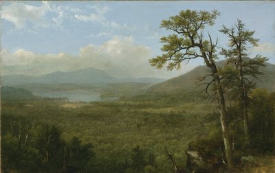 Montagne Adirondack, N.Y., 1870 da Asher Brown Durand