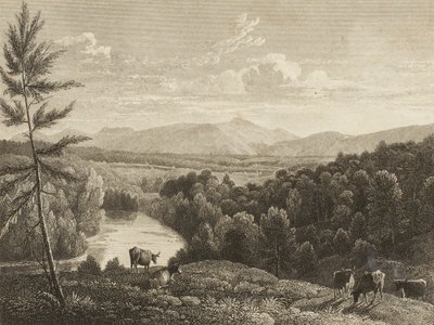 Montagne di Catskill da Asher Brown Durand
