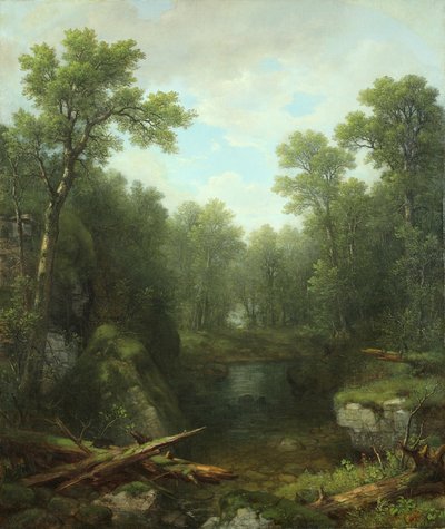 Chapel Pond Brook, Keene Flats, Adirondack Mountains, New York, 1871 da Asher Brown Durand