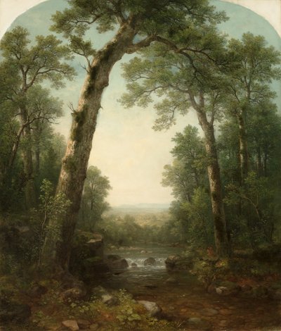 Ruscello nella foresta con vista da Asher Brown Durand