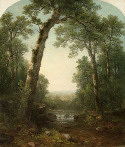 Ruscello nella foresta con vista, 1872 da Asher Brown Durand