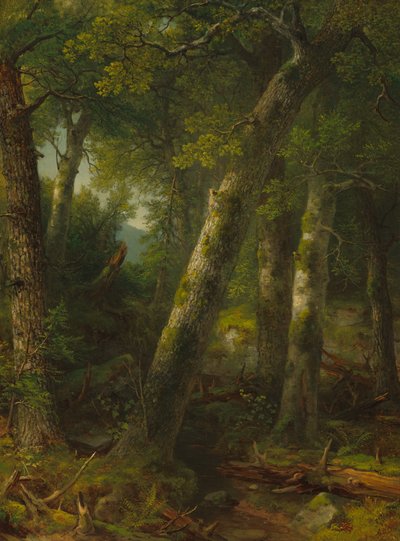 Foresta nella luce del mattino da Asher Brown Durand