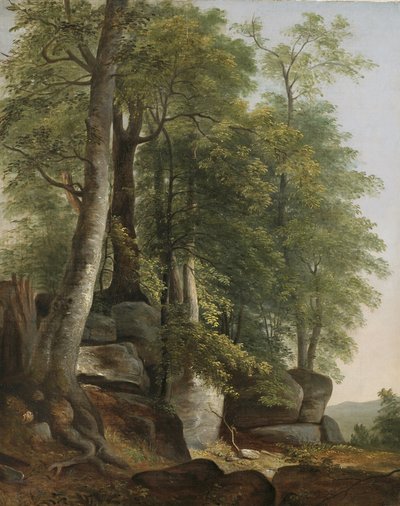 Paesaggio con rocce e alberi da Asher Brown Durand