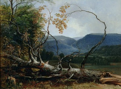 Stratton Notch, Vermont da Asher Brown Durand