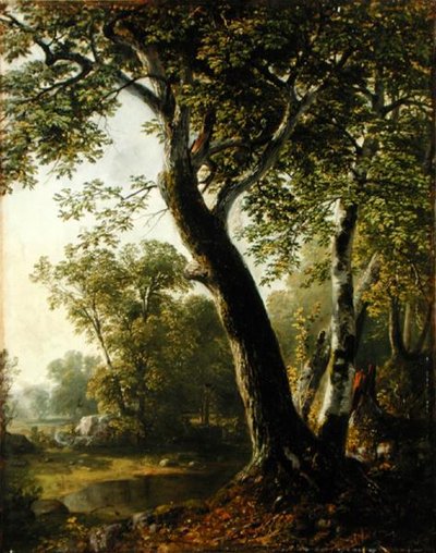 Studio a Marbletown, Contea di Ulster, New York, c.1845 da Asher Brown Durand