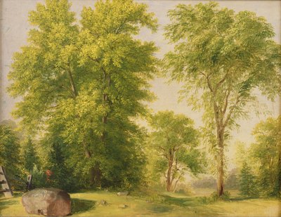 Studio dalla Natura, Hoboken, New Jersey, c.1834 da Asher Brown Durand