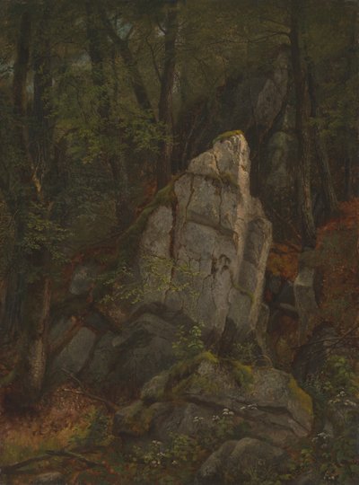 Studio delle rocce nel burrone di Pearson da Asher Brown Durand